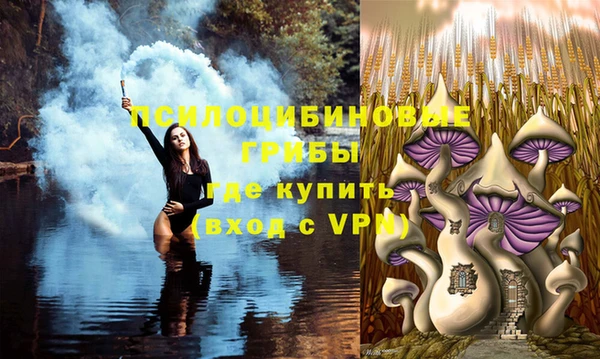 ALPHA-PVP Нея