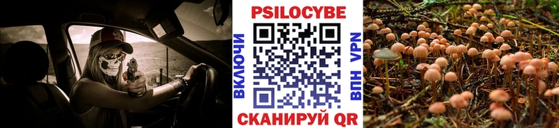 Псилоцибиновые грибы GOLDEN TEACHER  что такое   Ростов 